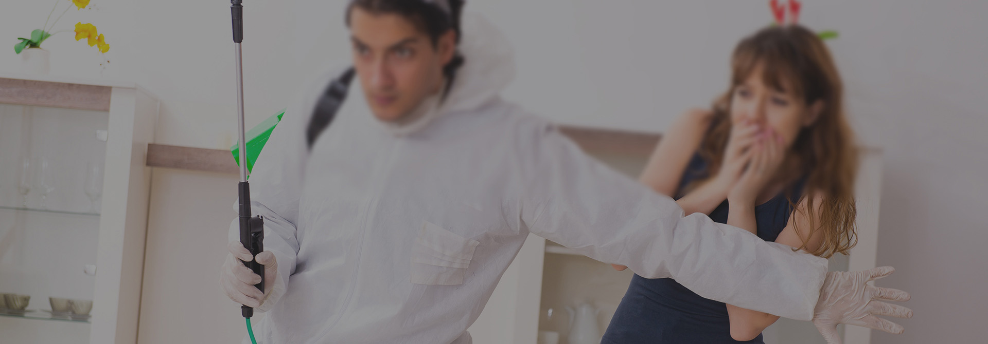 益爱虫控，焕新生活