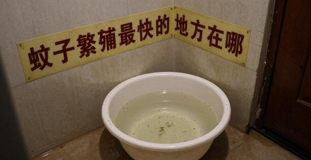 除“四害”_家庭除四害_家庭四害消杀